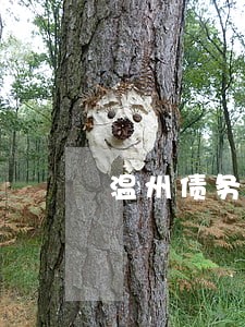 温州债务合同律师咨询热线 温州债务合同律师咨询热线