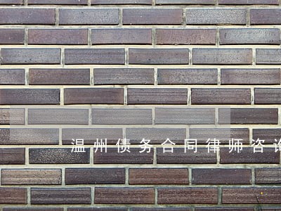 温州债务合同律师咨询网站 温州债务合同律师咨询网站