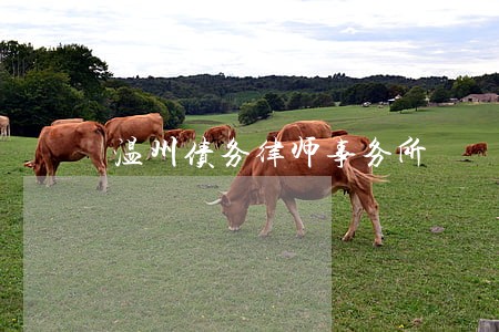 温州债务律师事务所 温州债务律师事务所