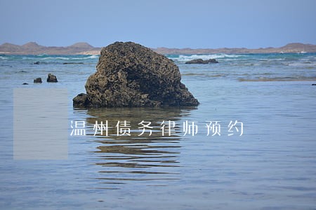 温州债务律师预约 温州债务律师预约