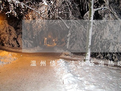 温州债务法律咨询热线 温州债务法律咨询热线