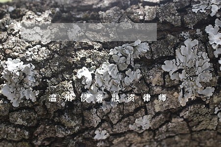 温州债务融资律师 温州债务融资律师