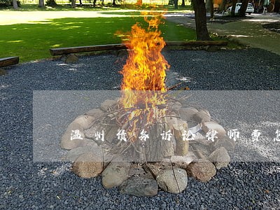温州债务诉讼律师费怎么算 温州债务诉讼律师费怎么算