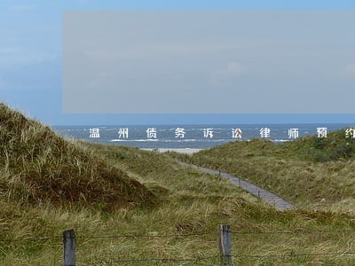 温州债务诉讼律师预约 温州债务诉讼律师预约