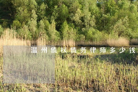 温州债权债务律师多少钱 温州债权债务律师多少钱