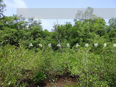 温州债权债务律师费用 温州债权债务律师费用
