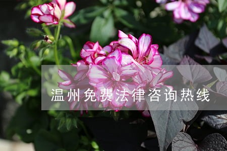 温州免费法律咨询热线