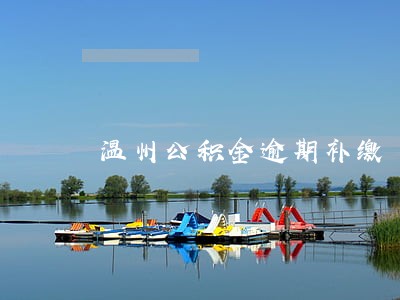 温州公积金逾期补缴 温州公积金逾期补缴