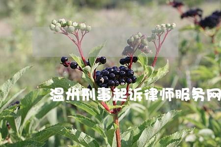 温州刑事起诉律师服务网站