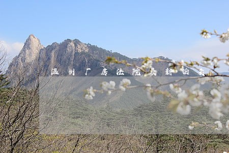 温州厂房法院最新拍卖 温州厂房法院最新拍卖