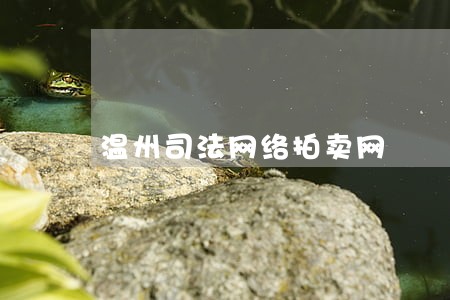 温州司法网络拍卖网 温州司法网络拍卖网