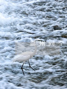温州向全国介绍违法建筑治理经验 温州向全国介绍违法建筑治理经验