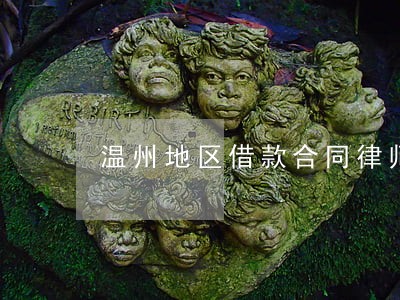 温州地区借款合同律师起诉费用 温州地区借款合同律师起诉费用