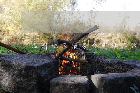 温州地区债务合同律师找谁好 温州地区债务合同律师找谁好