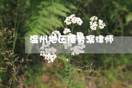 温州地区债务案律师 温州地区债务案律师