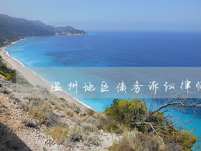 温州地区债务诉讼律师事务所 温州地区债务诉讼律师事务所