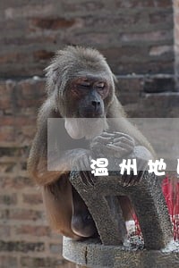 温州地区征信逾期可以修复吗 温州地区征信逾期可以修复吗