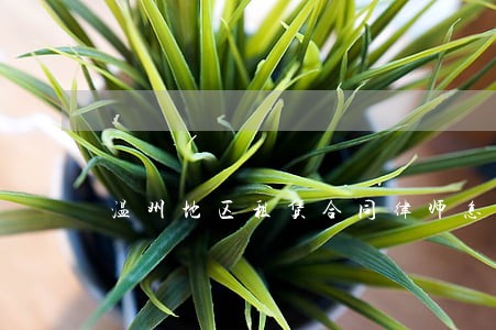 温州地区租赁合同律师怎么委托 温州地区租赁合同律师怎么委托
