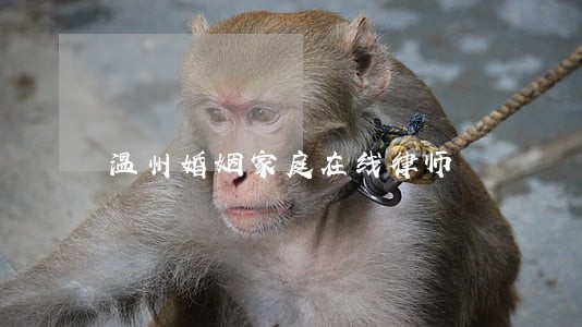 温州婚姻家庭在线律师 温州婚姻家庭在线律师