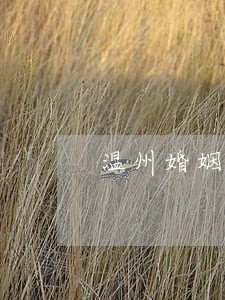 温州婚姻财产继承纠纷律师 温州婚姻财产继承纠纷律师