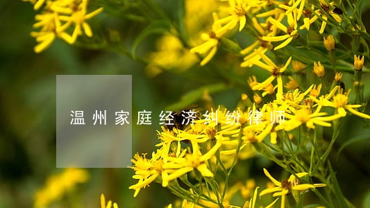 温州家庭经济纠纷律师 温州家庭经济纠纷律师