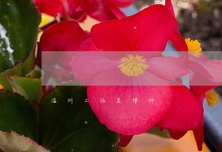 温州工伤类律师 温州工伤类律师