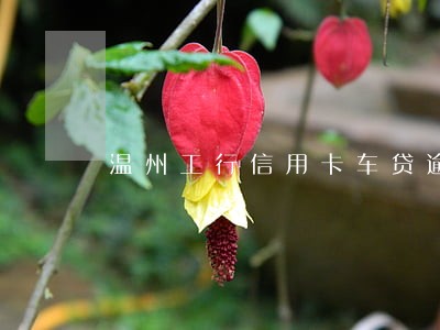 温州工行信用卡车贷逾期 温州工行信用卡车贷逾期