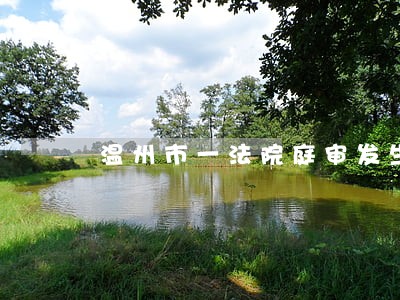 温州市一法院庭审发生斗殴 温州市一法院庭审发生斗殴
