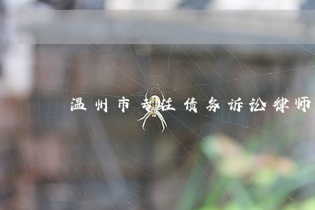 温州市专注债务诉讼律师 温州市专注债务诉讼律师