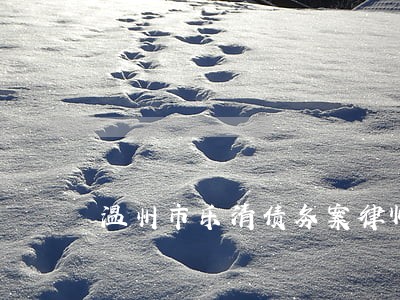 温州市乐清债务案律师哪个好 温州市乐清债务案律师哪个好