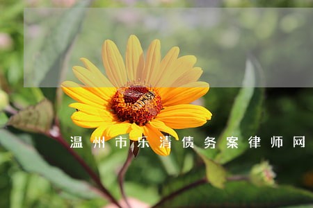 温州市乐清债务案律师网站 温州市乐清债务案律师网站