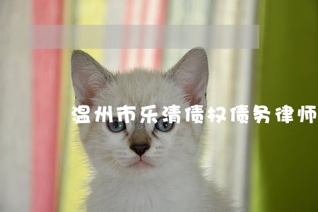 温州市乐清债权债务律师咨询热线 温州市乐清债权债务律师咨询热线