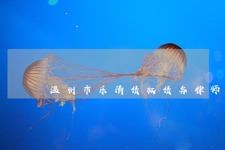 温州市乐清债权债务律师在线咨询 温州市乐清债权债务律师在线咨询