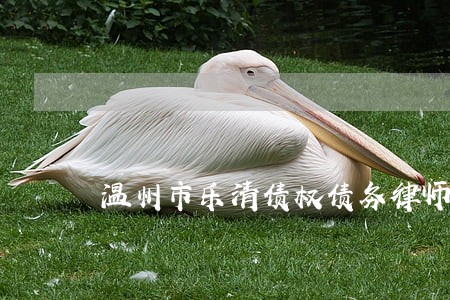 温州市乐清债权债务律师怎么收费 温州市乐清债权债务律师怎么收费