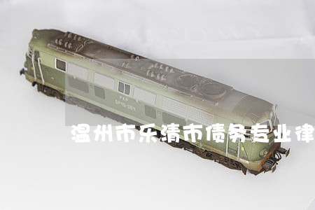 温州市乐清市债务专业律师事务所