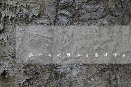温州市代理债务案律师在线咨询 温州市代理债务案律师在线咨询