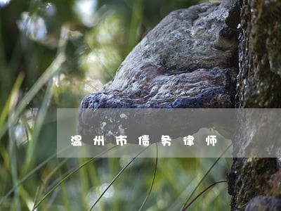 温州市债务律师 温州市债务律师