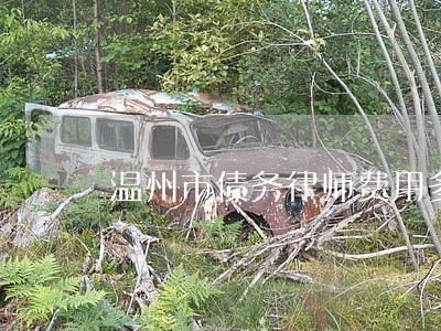温州市债务律师费用多少 温州市债务律师费用多少