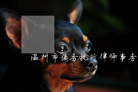温州市债务执行律师事务所 温州市债务执行律师事务所