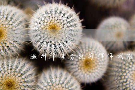 温州市债务执行律师找谁 温州市债务执行律师找谁