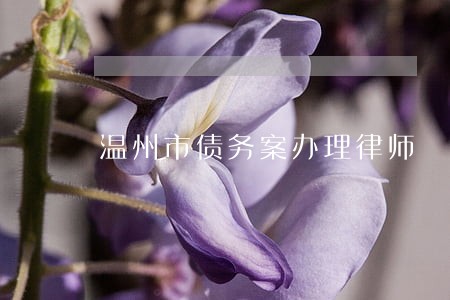 温州市债务案办理律师 温州市债务案办理律师