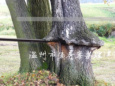 温州市债务案办理律师网站 温州市债务案办理律师网站