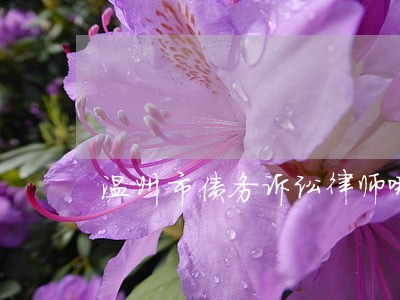温州市债务诉讼律师哪个好 温州市债务诉讼律师哪个好