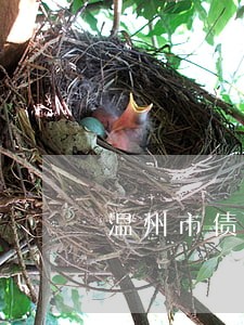 温州市债务诉讼律师费用 温州市债务诉讼律师费用