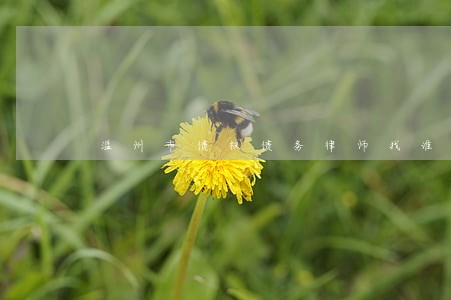 温州市债权债务律师找谁 温州市债权债务律师找谁