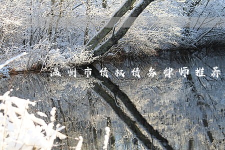 温州市债权债务律师推荐 温州市债权债务律师推荐