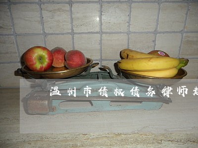 温州市债权债务律师起诉费用 温州市债权债务律师起诉费用