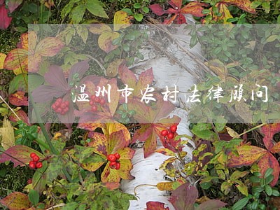 温州市农村法律顾问
