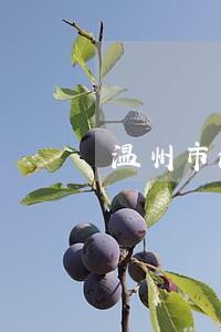 温州市法院邮寄立案 温州市法院邮寄立案