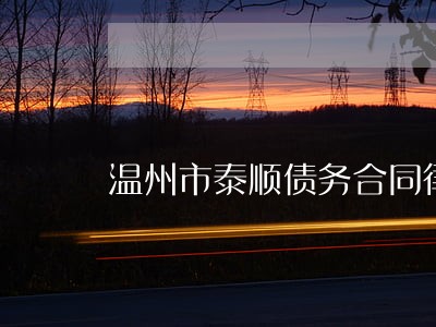 温州市泰顺债务合同律师预约 温州市泰顺债务合同律师预约